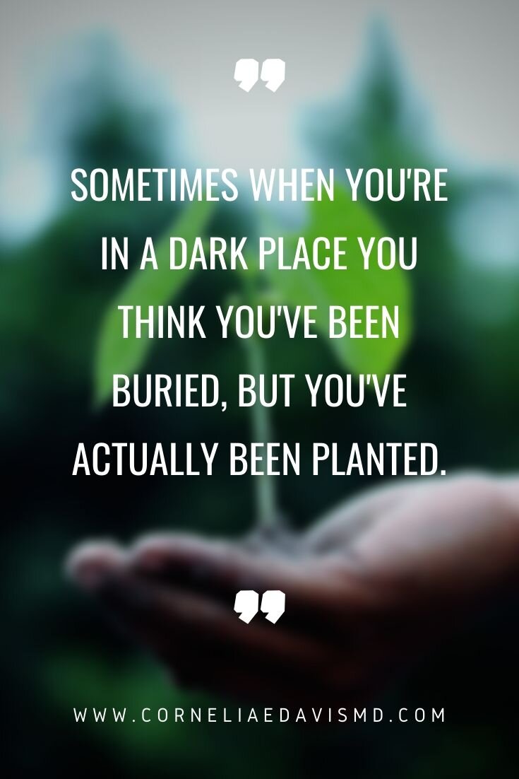 Anyone who has ever had to face a difficult, painful, and dark time in their life will identify with this quotation. But consider a different way of looking at things. For a seed has only to wait, and growth will come. Have a great week ahead, everyone!