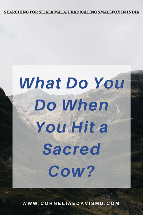 Check out this new  # Bublish   post:&nbsp; https://www.bublish.com/bubble/stream/15632?share=email &nbsp;&nbsp;#SacredCow