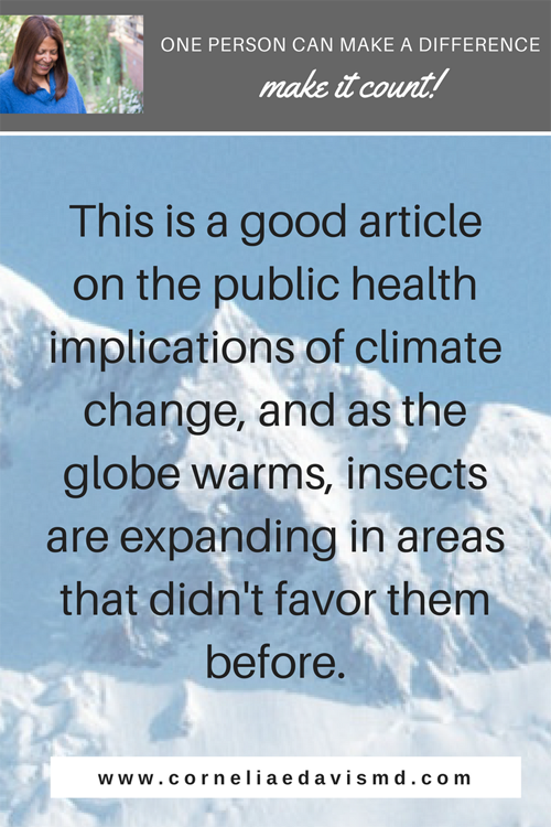 Read more: &nbsp; https://www.mironline.ca/mosquito-vs-modern-nation-state-climate-change-dengue-fever-india/