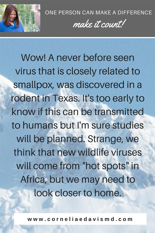 Read more:  https://www.livescience.com/62585-new-smallpox-related-virus-texas.html &nbsp;#poxviruses #smallpox #novelviruses