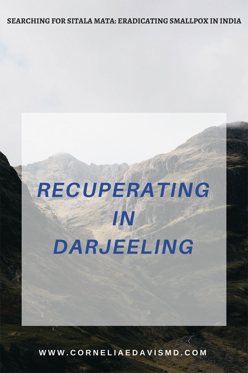 Check out my new  #Bublish  post!  https://www.bublish.com/bubble/stream/15150?share=email   #Darjeeling   #TigerHill   #MountEverest