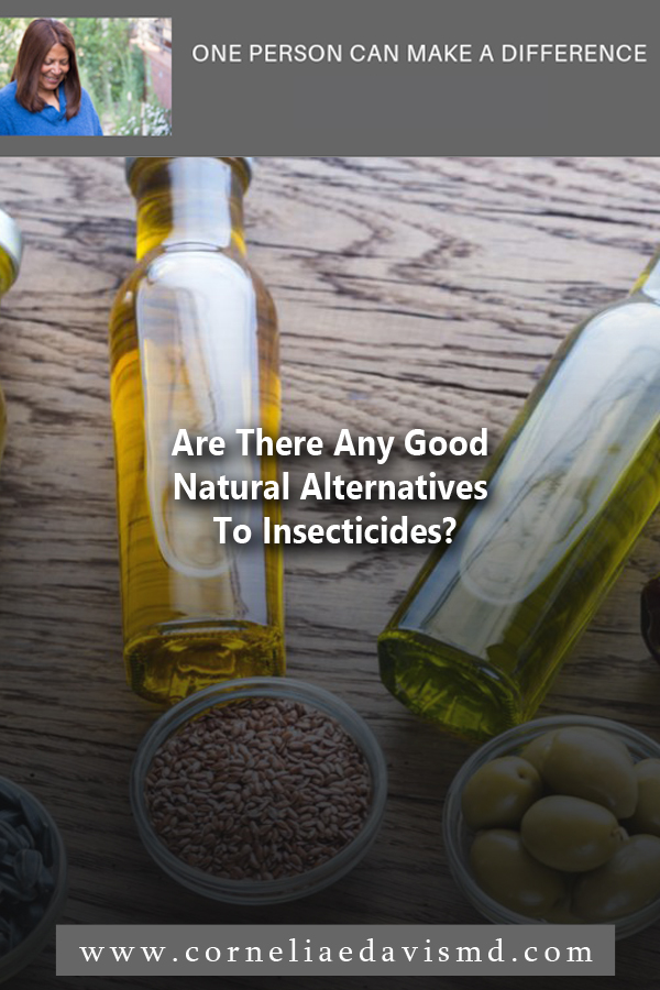 Are There Any Good Natural Alternatives To Insecticides?    Read More:  https://www.sierraclub.org/sierra/5-deet-free-ways-protect-yourself-bugs