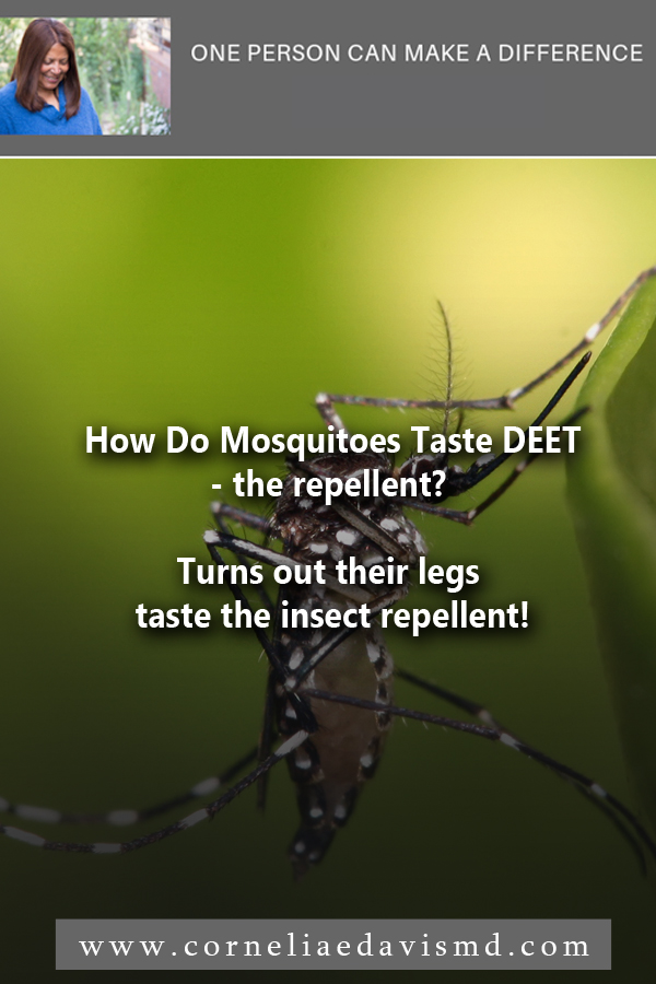 Who could have suspected that a mosquito "tastes" with his&nbsp;legs! &nbsp;    Read more:  http://www.capradio.org/news/npr/story?storyid=716767256 &nbsp;