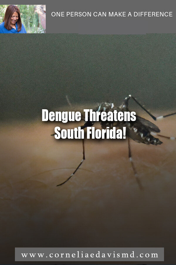 Dengue Threatens South Florida! #Dengue fever      https://www.news18.com/news/india/after-zika-virus-dengue-menace-plagues-southern-florida-in-us-2310707.html