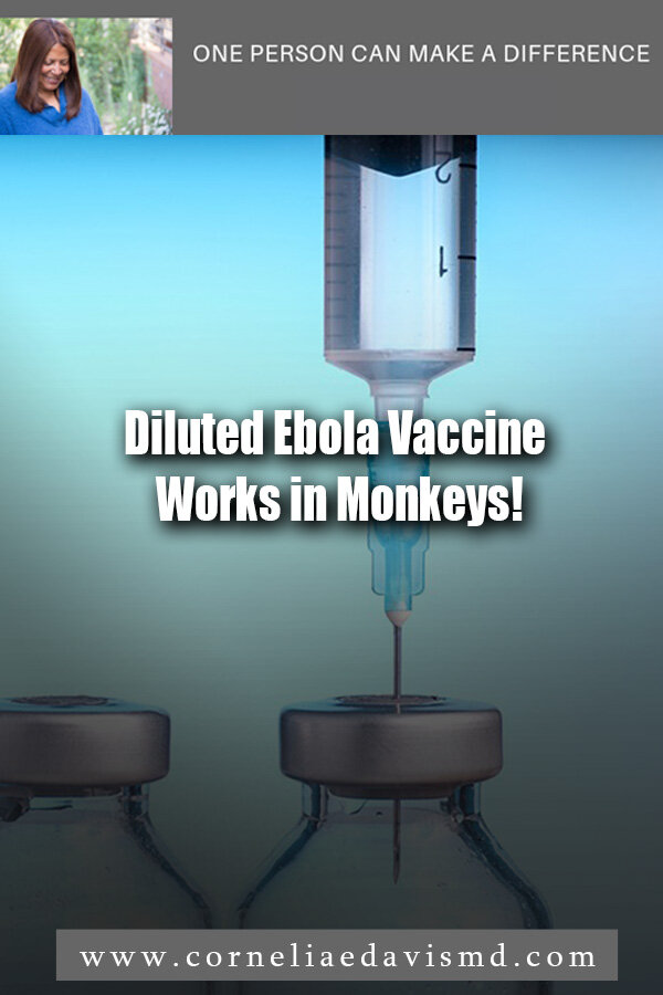 Diluted Ebola Vaccine Works in Monkeys! #Ebola, #vaccines   https://ravallirepublic.com/news/local/article_e4c0b241-8157-5545-81db-b8a73a3948dc.html