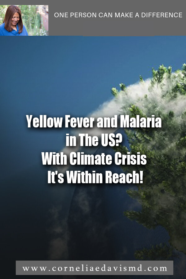 Yellow Fever and Malaria in The US?   With Climate Crisis It's Within Reach! #yellow fever, #malaria     https://www.wbur.org/hereandnow/2019/09/30/infectious-disease-climate-change