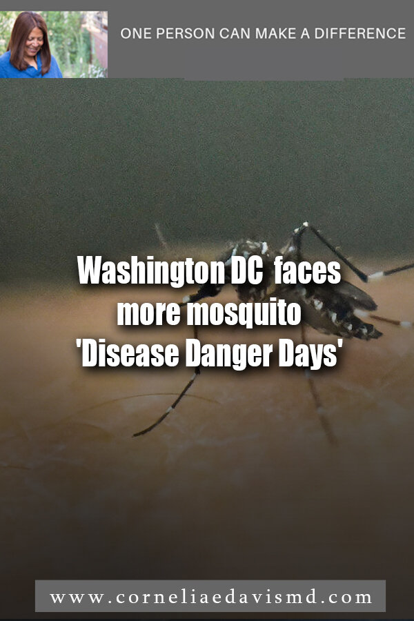 Washington DC faces more mosquito  '  Disease Danger Days' #mosquitoes, #Dengue, #Zika     READ MORE: https://www.wusa9.com/article/weather/weather-blog/dc-may-see-more-mosquito-disease-danger-days/65-615dfed9-0949-4c24-b5bd-33e600db26e4