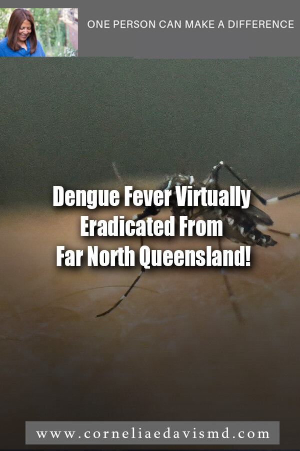 Dengue Fever Virtually Eradicated From Far North Queensland! #Dengue    This will be a game changer if this can be replicated in other areas!     https://www.abc.net.au/news/2019-09-27/dengue-fever-virtually-eradicated-from-far-north-queensland/11555792