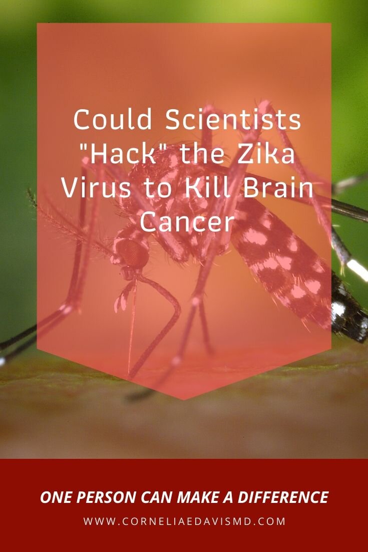 New research has revealed that the Zika virus breaks into brain cells by using a special molecular key, and scientists think the virus could be tweaked so that it infects only brain cancer cells, leaving &nbsp;healthy cells unharmed.   Read More:    https://www.livescience.com/using-zika-virus-to-treat-brain-cancer.html   &nbsp;&nbsp;