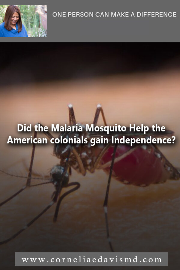 Did the Malaria Mosquito Help the American colonials Gain Independence? #malaria, #malaria prevention     https://thetyee.ca/Culture/2019/08/29/How-Mosquitos-Shaped-Humanity/