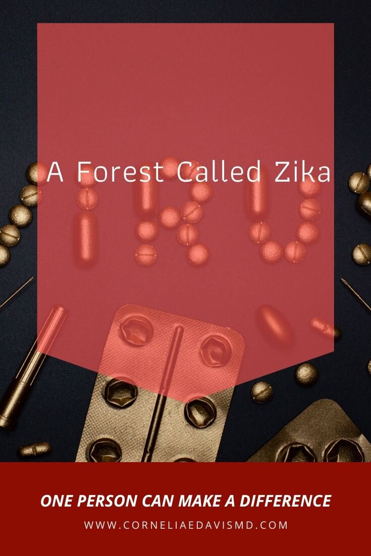 Deadly viruses often get their names from the location where they are first discovered. That's how Zika virus got its name from a forest in Uganda. Find out how it was discovered.&nbsp;   Read More :  https://bangaloremirror.indiatimes.com/opinion/views/a-forest-called-zika/articleshow/73528594.cms &nbsp;