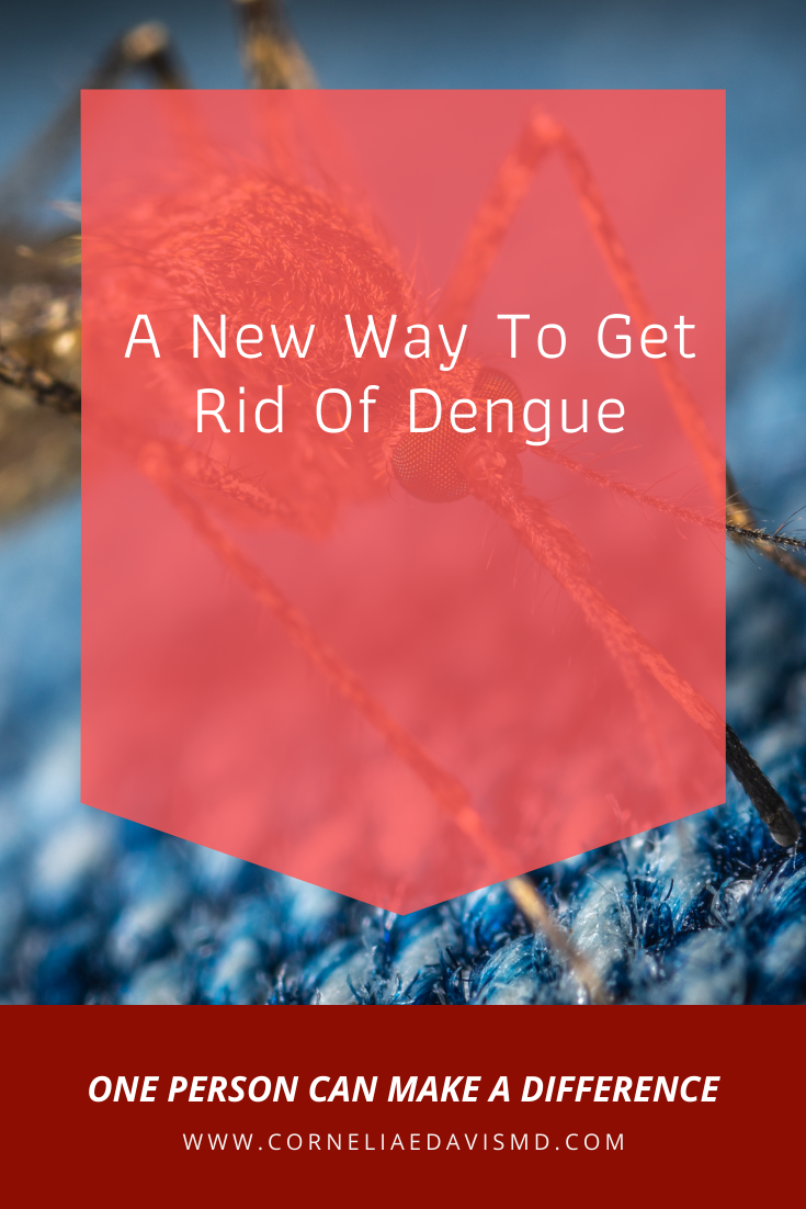 The &ldquo;promising new tool,&rdquo; as the EPA referred to it&nbsp; in May , involves releasing large quantities of male Aedes aegypti mosquitoes that have been engineered to produce only male offspring.  Read Here:  https://www.yahoo.com/lifestyle/scientists-to-release-genetically-modified-mosquitos-in-florida-to-combat-dengue-zika-232106346.html &nbsp;